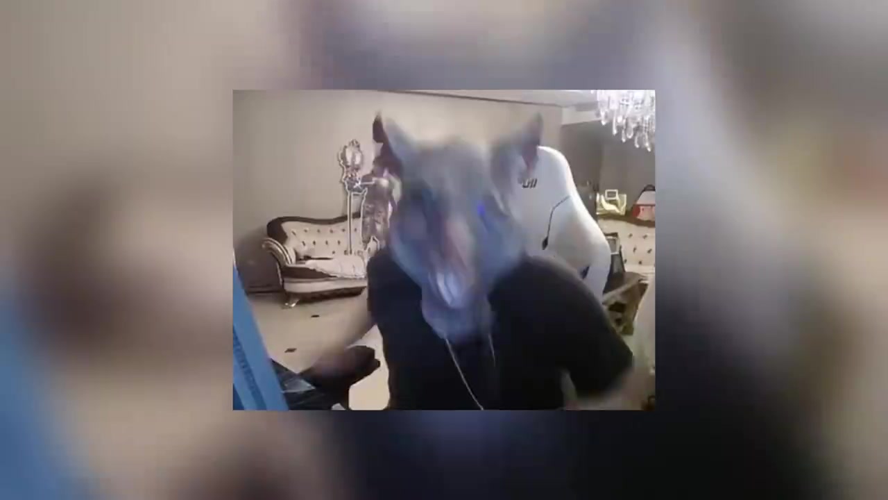 png电子平台姿态做智商测试题测出来自己智商110：他说我全是高等水平！