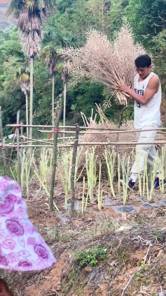 电子png游戏矣进宏干农活：当想要放弃的时候 想想为什么坚持到现在